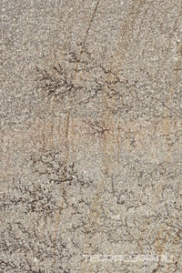 Керамогранит Imola Trail18 QUAR BIA18 23  KL 20x30 Бежевый 