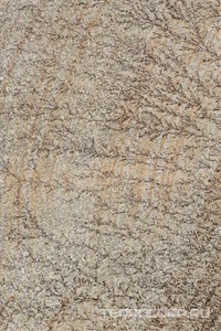 Керамогранит Imola Trail18 QUAR BIA18 23  KL 20x30 Бежевый 