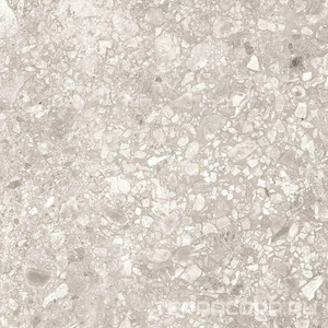 Керамогранит Alpas 2 CM Outdoor Terrazo Bianco 2 cm 60x60 Белый 