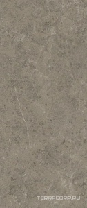 Керамогранит Atlas Concorde Italy Marvel Meraviglia  Grigio Elegante  6mm Lapp. 120x278 Коричневый 