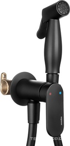 Смеситель совмещённый с гигиеническим душем, готовый комплект: лейка, шланг 120см., скрытая часть, (цв.черный матовый), Platta ZZ Swedbe platta 5567B