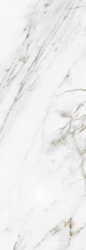 Calacatta Grey 24.2x70