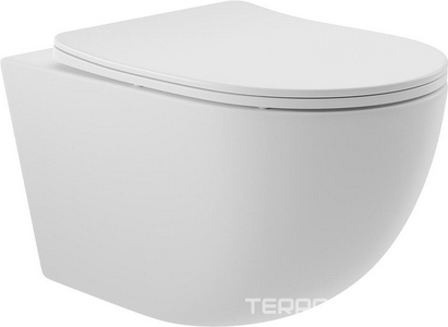 Унитаз подвесной 525х360мм, безободковый, сиденье с микролифтом, крепёж в компл., (цв.белый матовый),  Aqueduto Ovo OVO0120