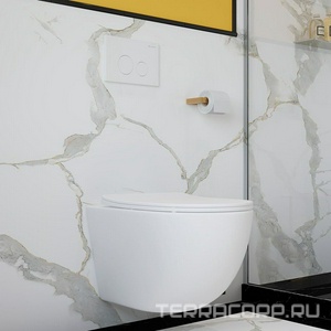 Унитаз подвесной 525х360мм, безободковый, сиденье с микролифтом, крепёж в компл., (цв.белый матовый),  Aqueduto Ovo OVO0120