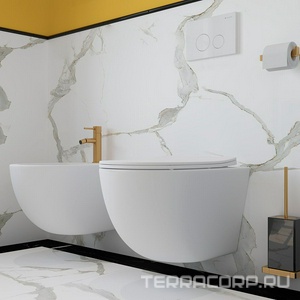 Унитаз подвесной 525х360мм, безободковый, сиденье с микролифтом, крепёж в компл., (цв.белый матовый),  Aqueduto Ovo OVO0120