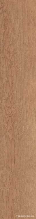Gracewood Natural 30180 30x180