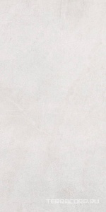 Керамическая плитка Azori Artemest  31.5x63 Серый 