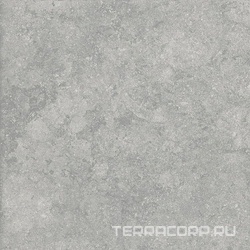 Fossil Gris 2 cm 60x60