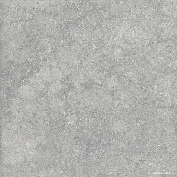 Fossil Gris 2 cm 60x60