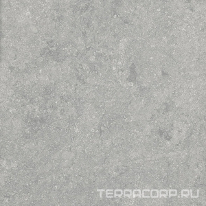 Керамогранит Alpas 2 CM Outdoor Fossil Gris 2 cm 60x60 Серый 