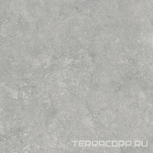Керамогранит Alpas 2 CM Outdoor Fossil Gris 2 cm 60x60 Серый 