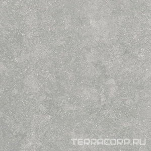 Керамогранит Alpas 2 CM Outdoor Fossil Gris 2 cm 60x60 Серый 