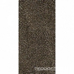 Sem.Tesser.Frapuccino Luc XX|59x118,2