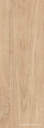 CALACATTA  ORO WOOD |24.2x70