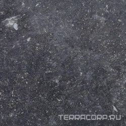 Ardenne Nero 20x20