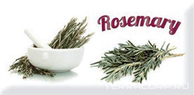 Керамическая плитка Absolut Keramika Monocolor 10x20 Decor Modern Rosemary 10x20 Комбинированный, фото 3