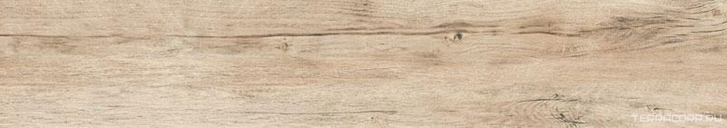 Ekos Natural Brillo XX |20x114