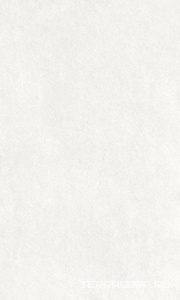 Керамогранит Gracia ceramica Industry  white wall 01 30x50 Белый 