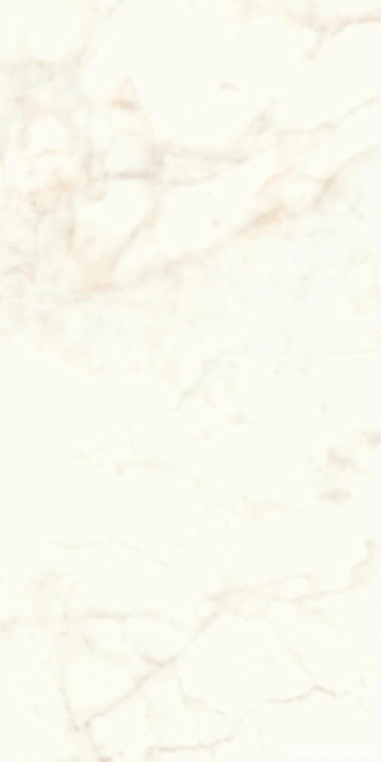 Керамогранит Atlas Concorde Italy Marvel Shine Marvel Calacatta Delicato Lappato60x120 Белый, фото 6
