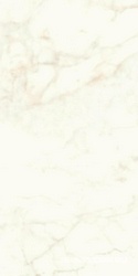 Marvel Calacatta Delicato Lappato|60x120