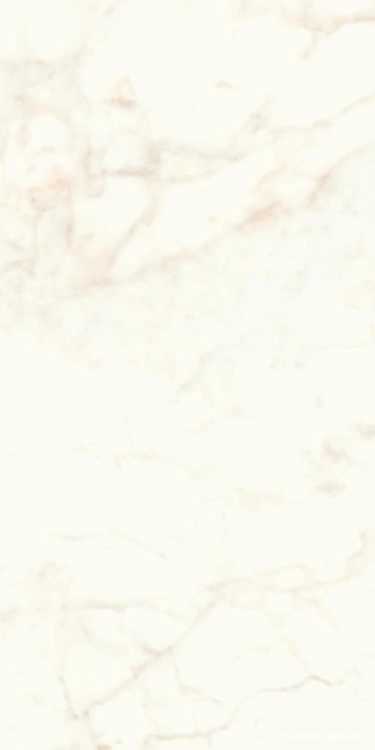Marvel Calacatta Delicato Lappato|60x120