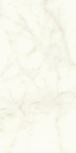 Керамогранит Atlas Concorde Italy Marvel Shine Marvel Calacatta Delicato Lappato60x120 Белый 