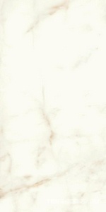 Керамогранит Atlas Concorde Italy Marvel Shine Marvel Calacatta Delicato Lappato60x120 Белый 