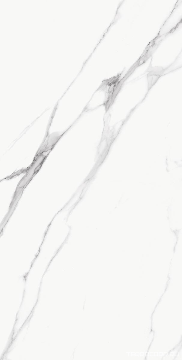 Керамогранит Emil Ceramica Tele di Marmo Statuario Michelangelo Nat 60x120 Белый, фото 4
