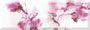 Керамическая плитка Absolut Keramika Aure Dec. Water Flowers 01 15x45 Комбинированный, фото 4