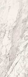 Surface Laboratory/Капрая белый лаппатированный обрезной ZZ |119.5x320