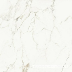 AE CAP6 120 LP ZZ ( п.п.)120x120