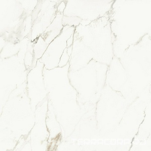 Керамогранит La Faenza Aesthetica AE CAP6 120 LP ( п.п.)120x120 Белый 
