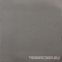 Art Silver XX |20x20