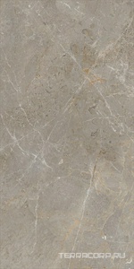 Керамогранит APE Ceramica Augustus  Brown Natural rect 60x120 Коричневый 