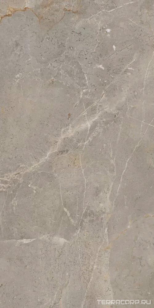 Керамогранит APE Ceramica Augustus Brown Natural rect 60x120 Коричневый, фото 4
