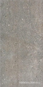 Керамогранит Ariostea Astra  Fog Nat. 8mm 60x120 Серый 