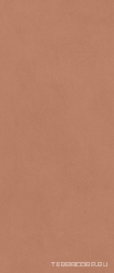 Boost Expression Sienna ZZ 50x120