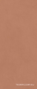 Керамическая плитка Atlas Concorde Italy Boost Expression  Sienna 50x120 Коричневый 