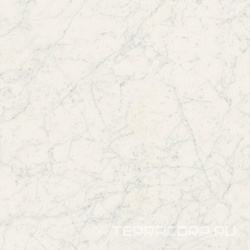Bianco Gioia Lev Rett (п.п) ZZ |60x60