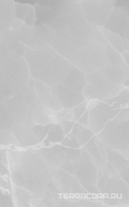 Керамическая плитка Gracia ceramica Эдем  сер низ 04 25x40 Серый 