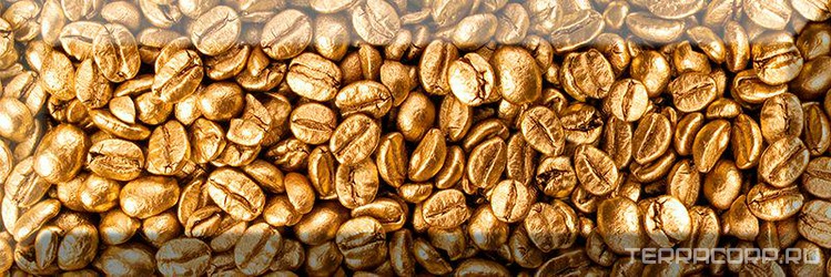 Decor Coffee Beans 02 XX 10x30