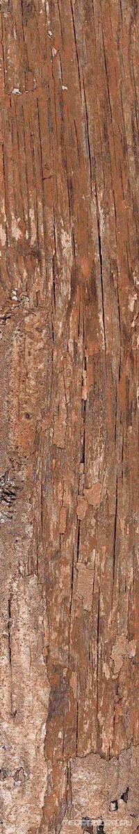 Керамогранит Alpas Euro Wood Kiwi Redroot Mat 20x120 Коричневый, фото 6