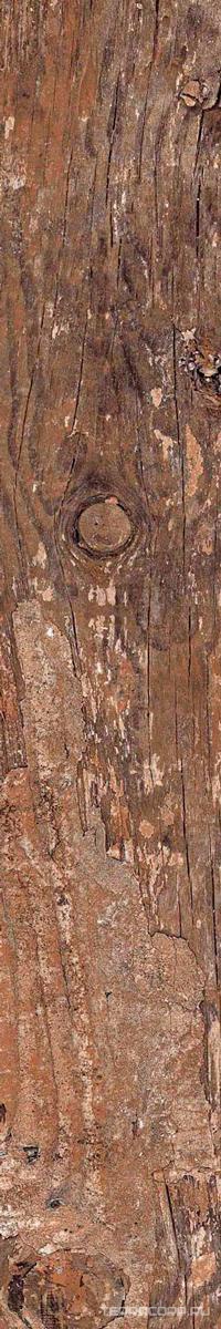 Керамогранит Alpas Euro Wood Kiwi Redroot Mat 20x120 Коричневый, фото 5