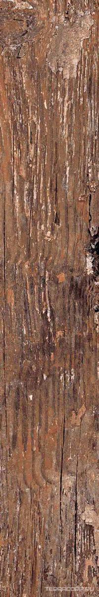 Керамогранит Alpas Euro Wood Kiwi Redroot Mat 20x120 Коричневый, фото 4