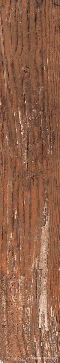 Керамогранит Alpas Euro Wood Kiwi Redroot Mat 20x120 Коричневый, фото 3