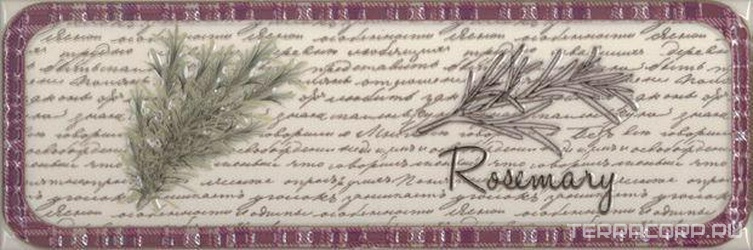 Decor Clasical Herbs Rosemary ZZ|10x30