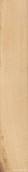 Tronco nat Rett ZZ|20x120