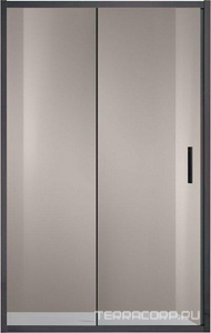 Дверь для душа, в нишу 1200хh1900мм, раздвижная, 1 дверь, 1 неподв.секция, правая/левая, (стекло прозрачное 6мм, фурн.цв.,вороненая сталь),  ZZ Vincea Garda VDS-1G120CLGM