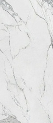Canova Statuario Lappato 120x280