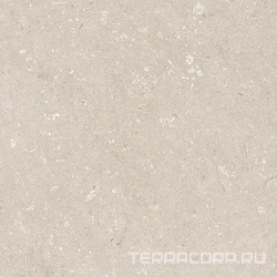 Shellstone Beige 120x120